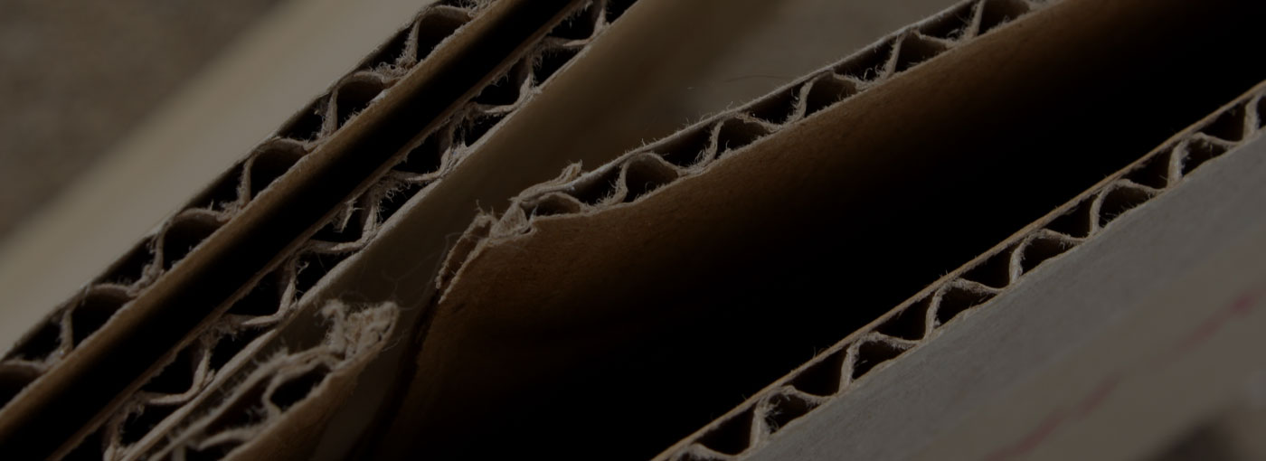 Duplex Cardboards