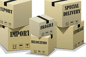 Export Boxes